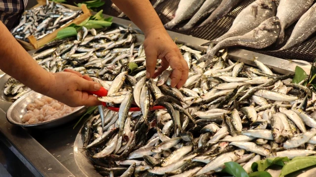 Balık avı sezonu öncesi fiyatlar normal seyrediyor