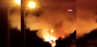 Bozyazı'da trafodan çıkan yangında ağaçlar alev alev yandı