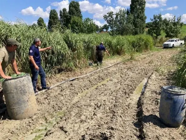 BÜYÜKÇEKMECE'DE KAÇAK AVLANAN 1 TON BALIK GÖLE BIRAKILDI