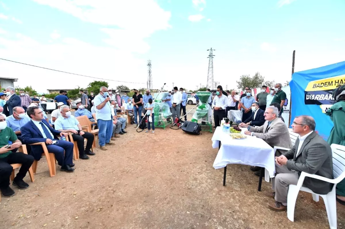 Diyarbakır Valisi Karaloğlu, işçilerle birlikte badem topladı