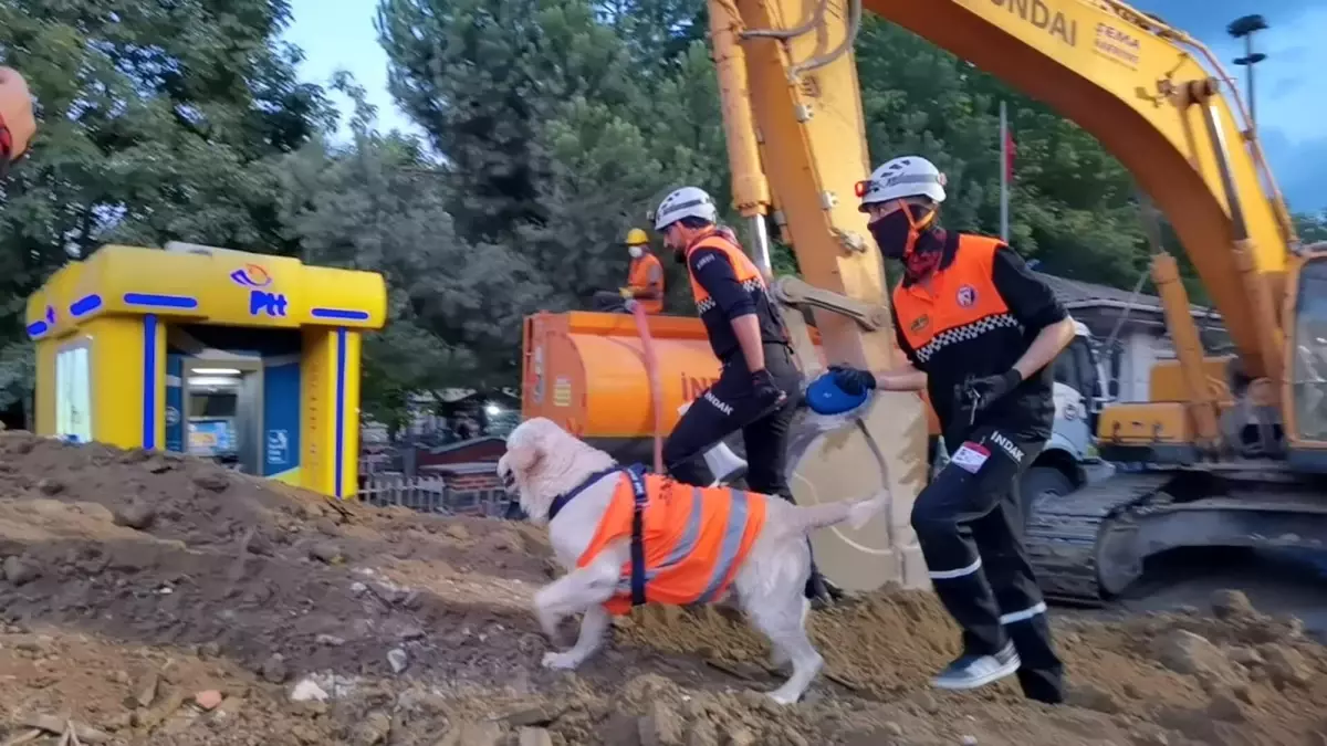 İnegöl Belediyesi\'nin enkaz ve yaralı kurtarma tatbikatı gerçeği aratmadı