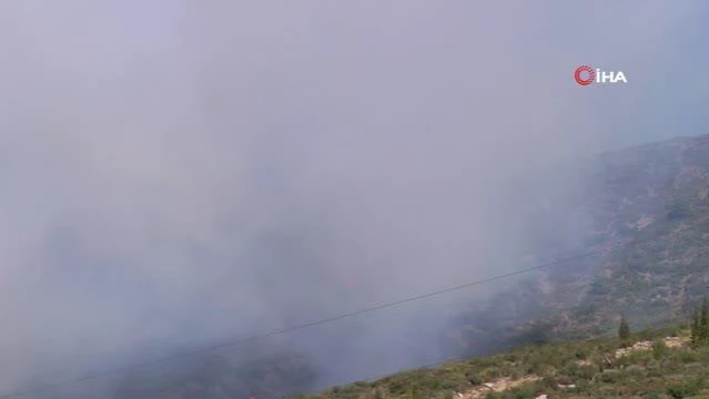 Son dakika haberi... İzmir'deki orman yangını kısmen kontrol altında
