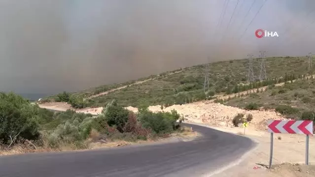 Son dakika haberi... İzmir'deki orman yangını kısmen kontrol altında