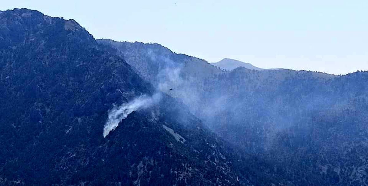 Kahramanmaraş\'ta orman yangını