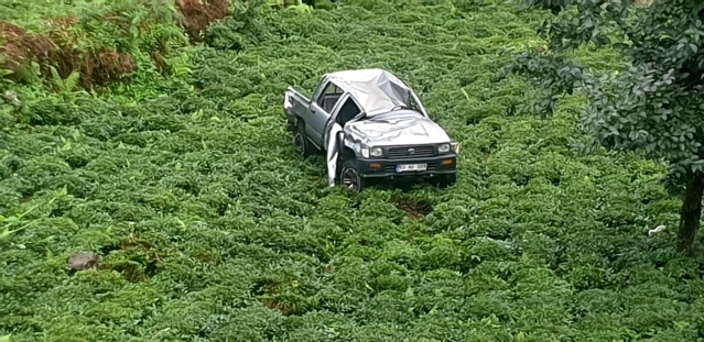 Kamyonet 150 metreden çay bahçesine yuvarlandı, şoförün burnu bile kanamadı
