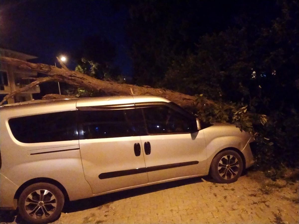 Kurumuş ağaç, park halindeki aracın üzerine devrildi