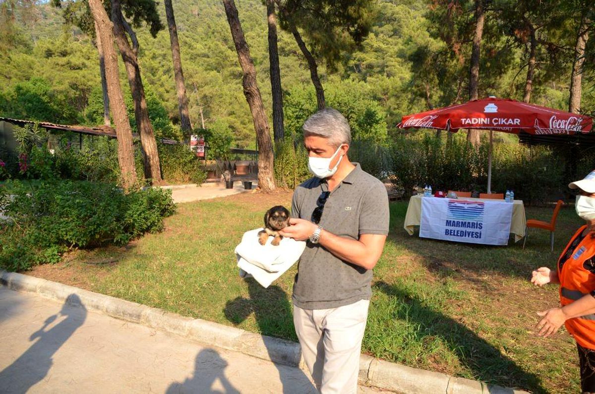 Marmaris Belediyesi Geçici Hayvan Bakımevi yangından etkilenen hayvanlara en güvenli alan oldu