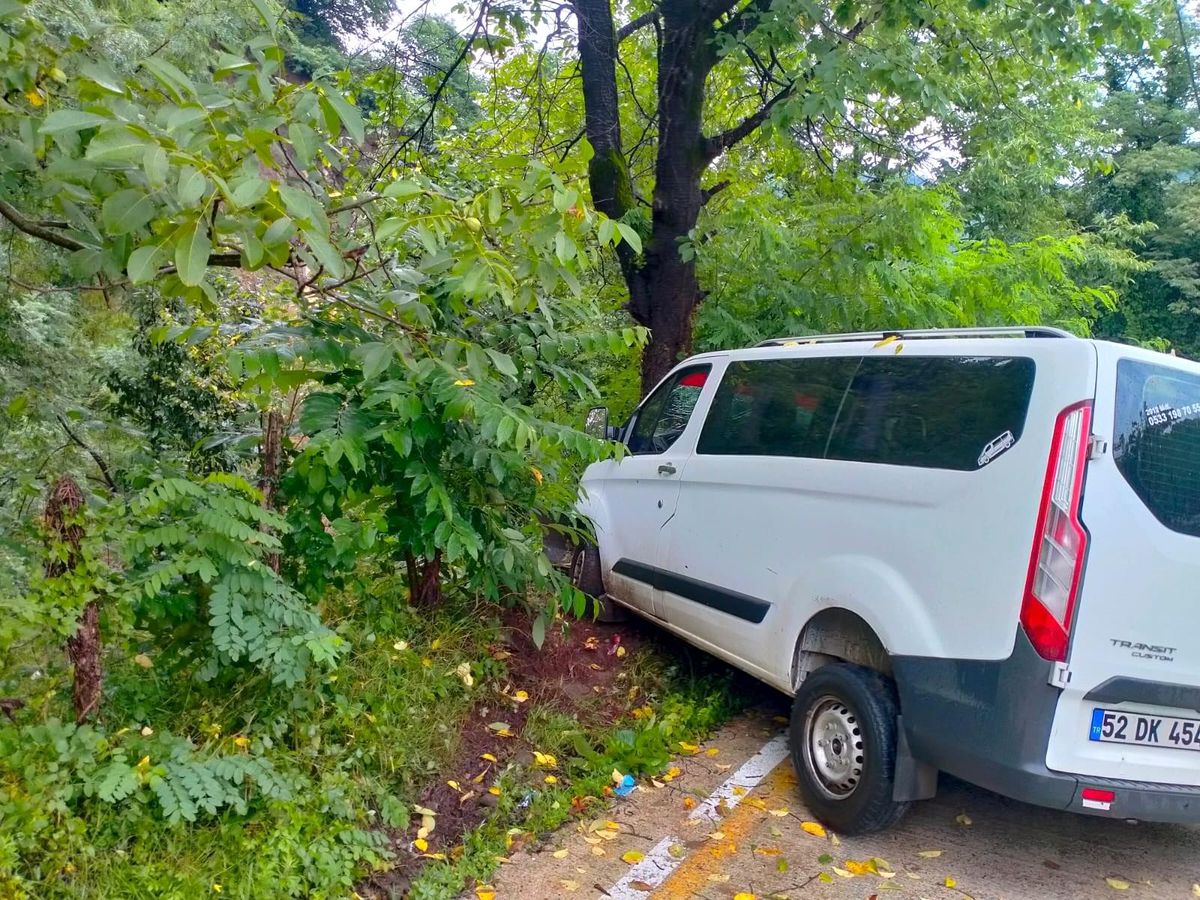 Samsun\'da minibüs ağaca çarptı: 2 yaralı