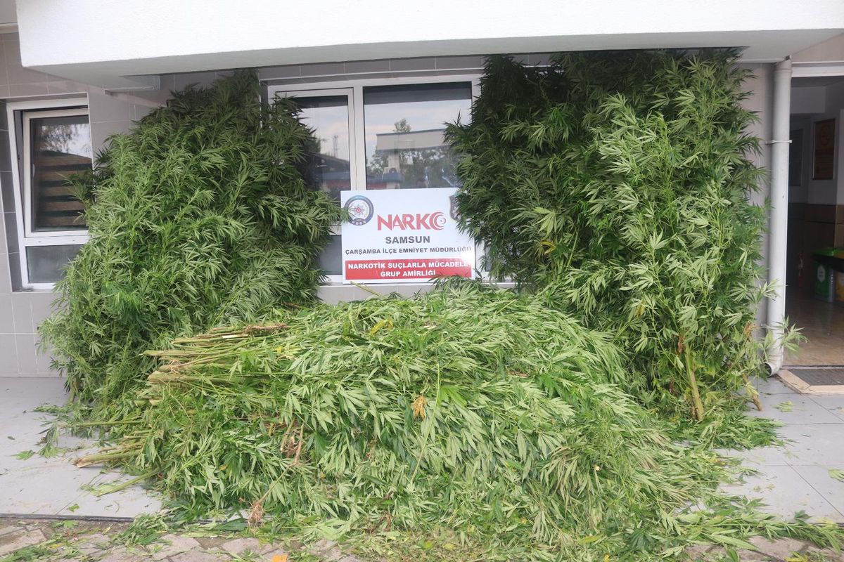 Samsun\'da uyuşturucu operasyonlarında 2 zanlı yakalandı