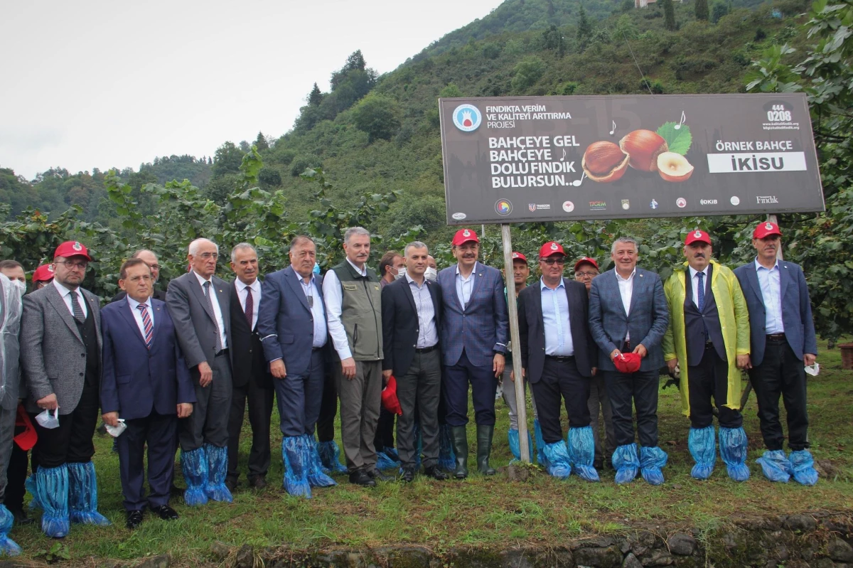 TMO Genel Müdürü Ahmet Güldal Trabzon\'da fındık hasat şenliğine katıldı Açıklaması
