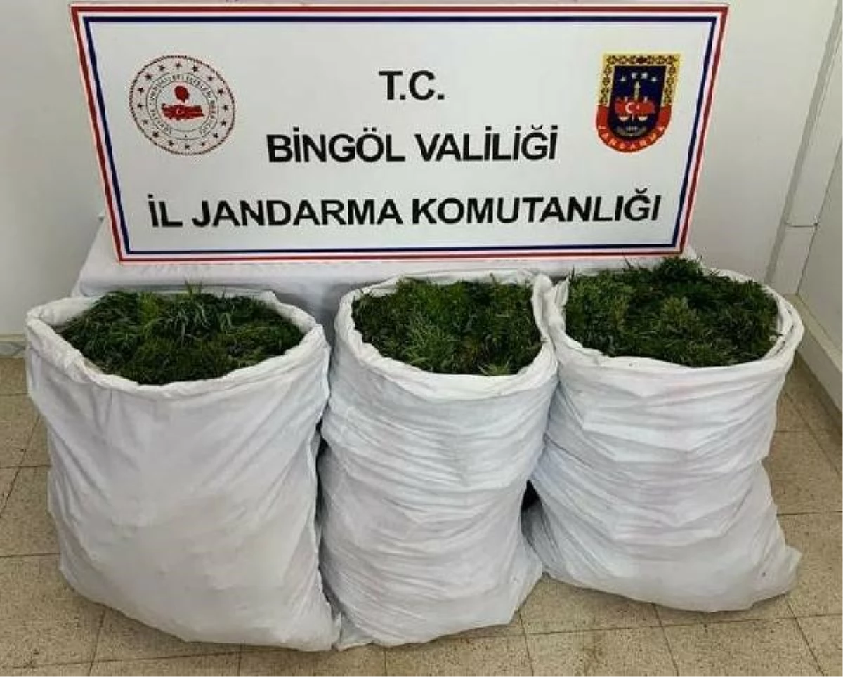 Bingöl\'de 84 kilogram esrar ele geçirildi