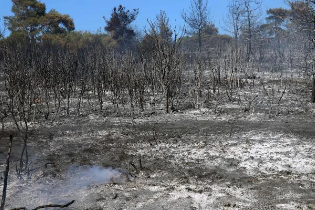 Çanakkale\'de aynı bölgede 6\'ncı orman yangını (2)