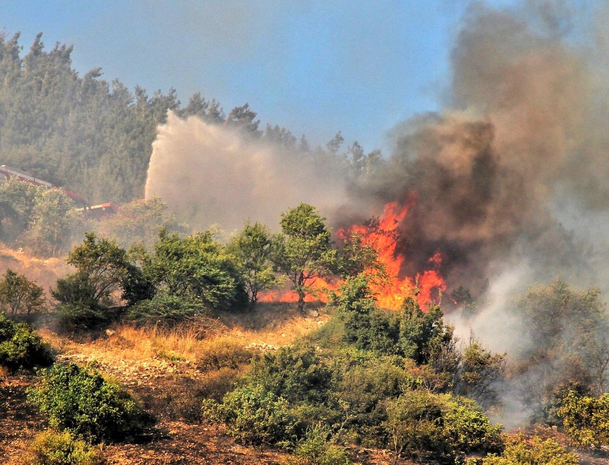 Kahramanmaraş\'ta orman yangını