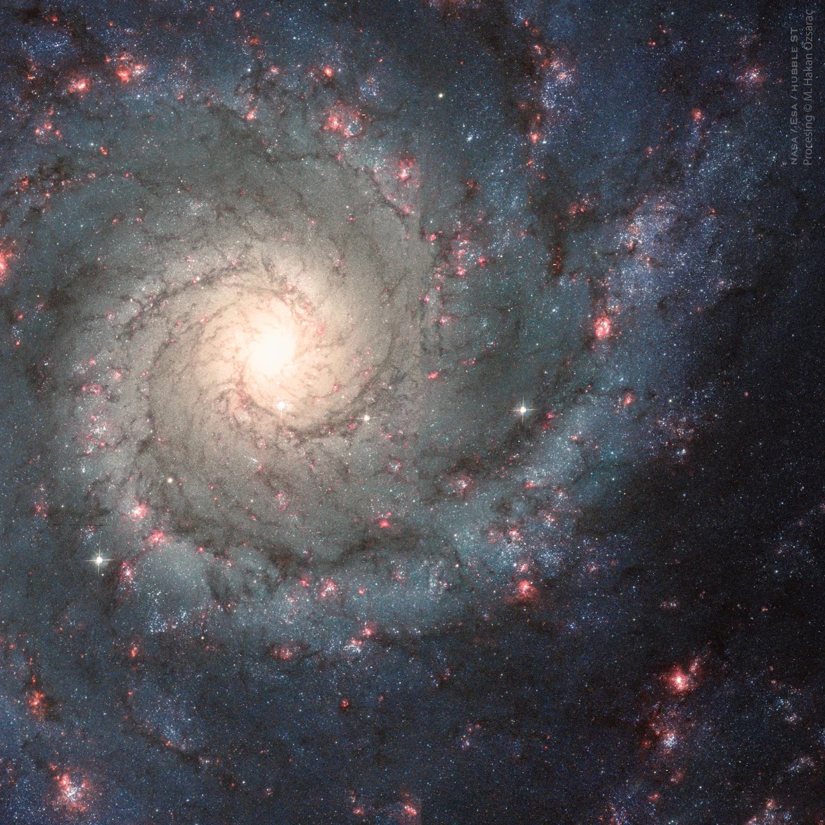 Türk doktorun renklendirdiği astronomi fotoğrafı "NASA" seçkisinde yer aldı