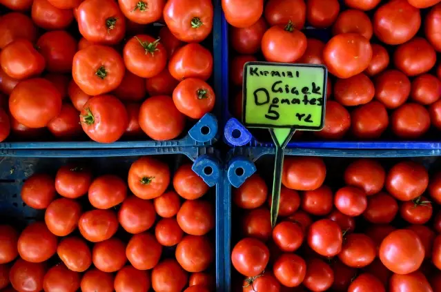 HATAY/MERSİN - Türk yaş meyve sebzesi bu yılın ilk 7 ayında en fazla Rusya'ya satıldı HATAY/MERSİN - Türk yaş meyve sebzesi bu yılın ilk 7 ayında en fazla Rusya'ya satıldı