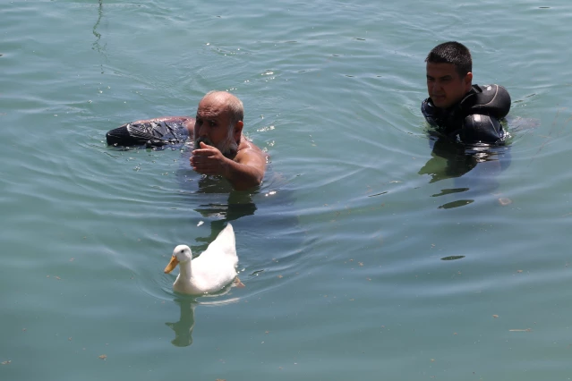 Adana'da yüzmenin yasak olduğu alanda Seyhan Nehri'ne giren kişiyi dalgıç polisler sudan çıkardı
