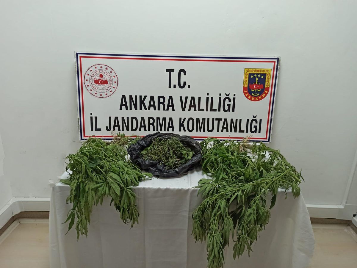Son dakika haber! Başkentte jandarma ekiplerince düzenlenen uyuşturucu operasyonlarında 2 kişi yakalandı