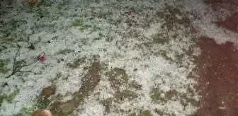 Erzurum'da sağanak ve dolu etkili oldu