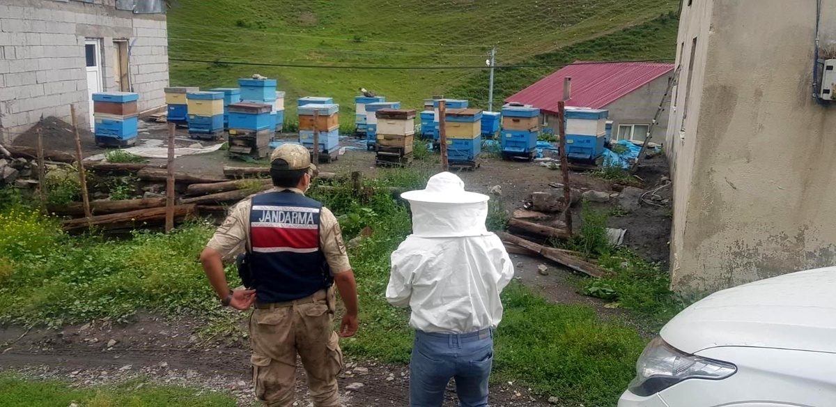İzoleli coğrafi bölgeye arı ırkı sokan şahsa 15 bin 203 lira ceza kesildi