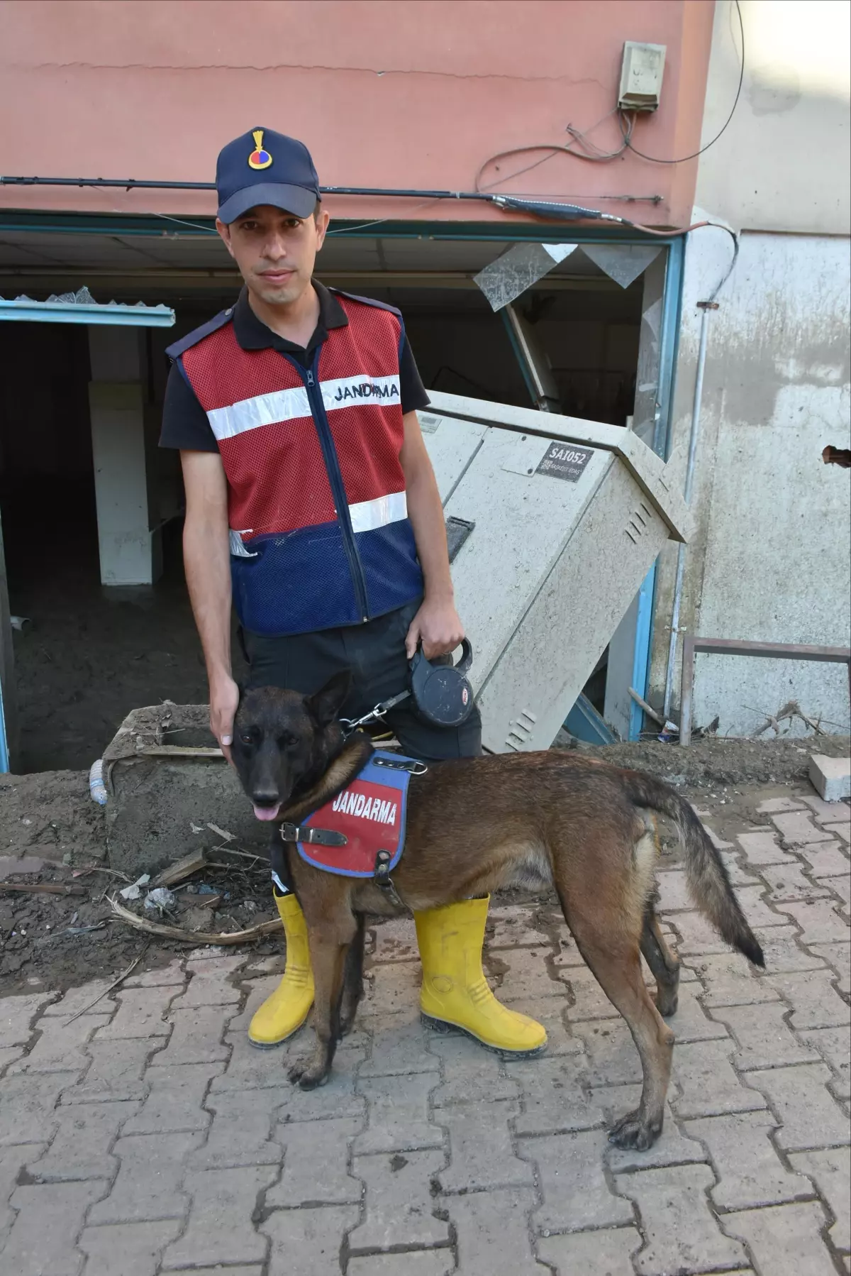 KASTAMONU - Jandarmanın "hassas burunları" Bozkurt\'ta çalışmalara destek veriyor