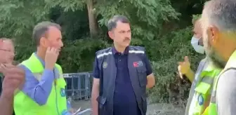 Son dakika haber | KASTAMONU - Bakan Kurum, Kastamonu'da selden etkilenen bölgelerde incelemelerde bulundu