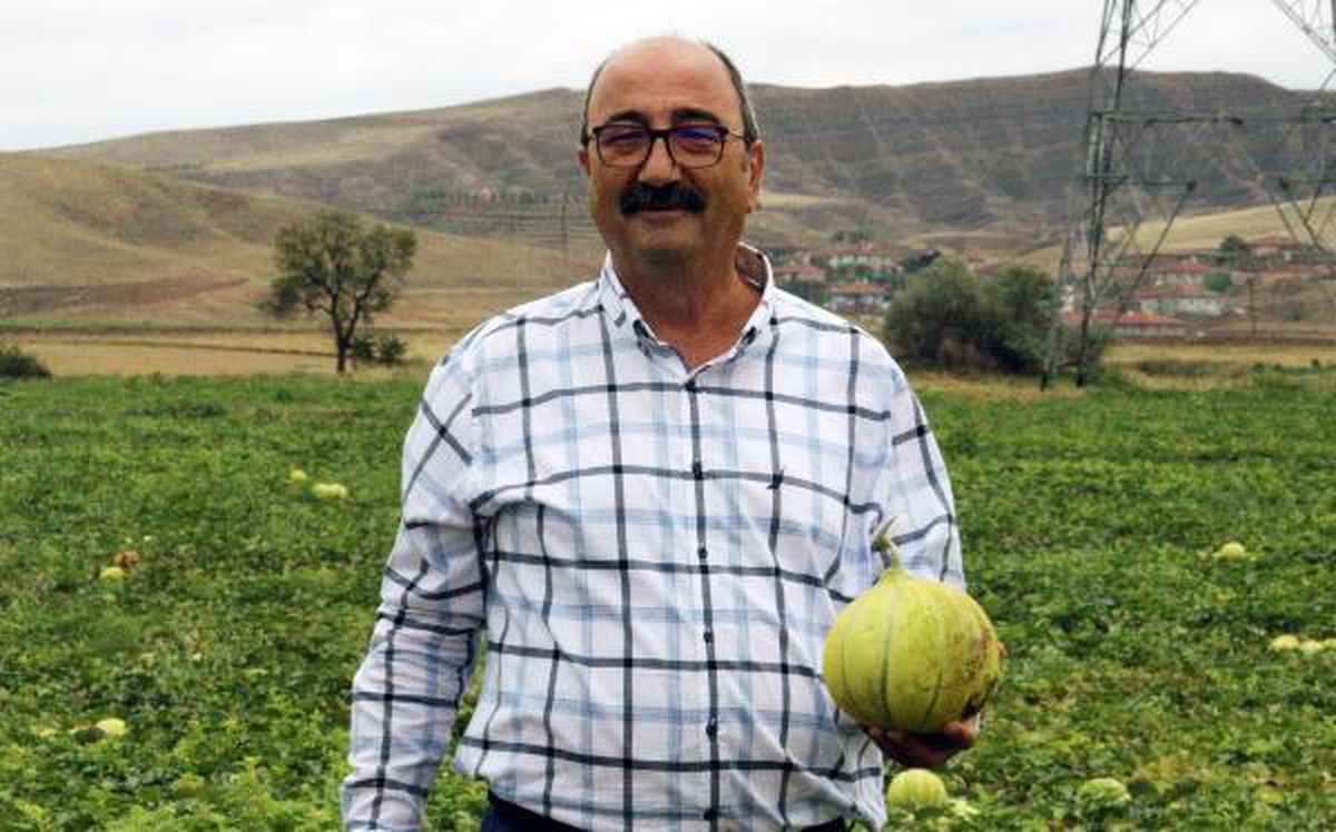 Kızılırmak kavununda düşük rekolte endişesi