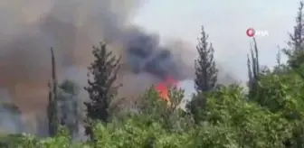 Kudüs'teki orman yangını devam ediyor