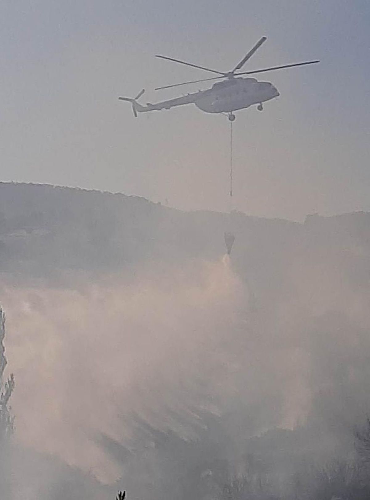 Son dakika: Manisa\'da çıkan orman yangını kontrol altına alındı