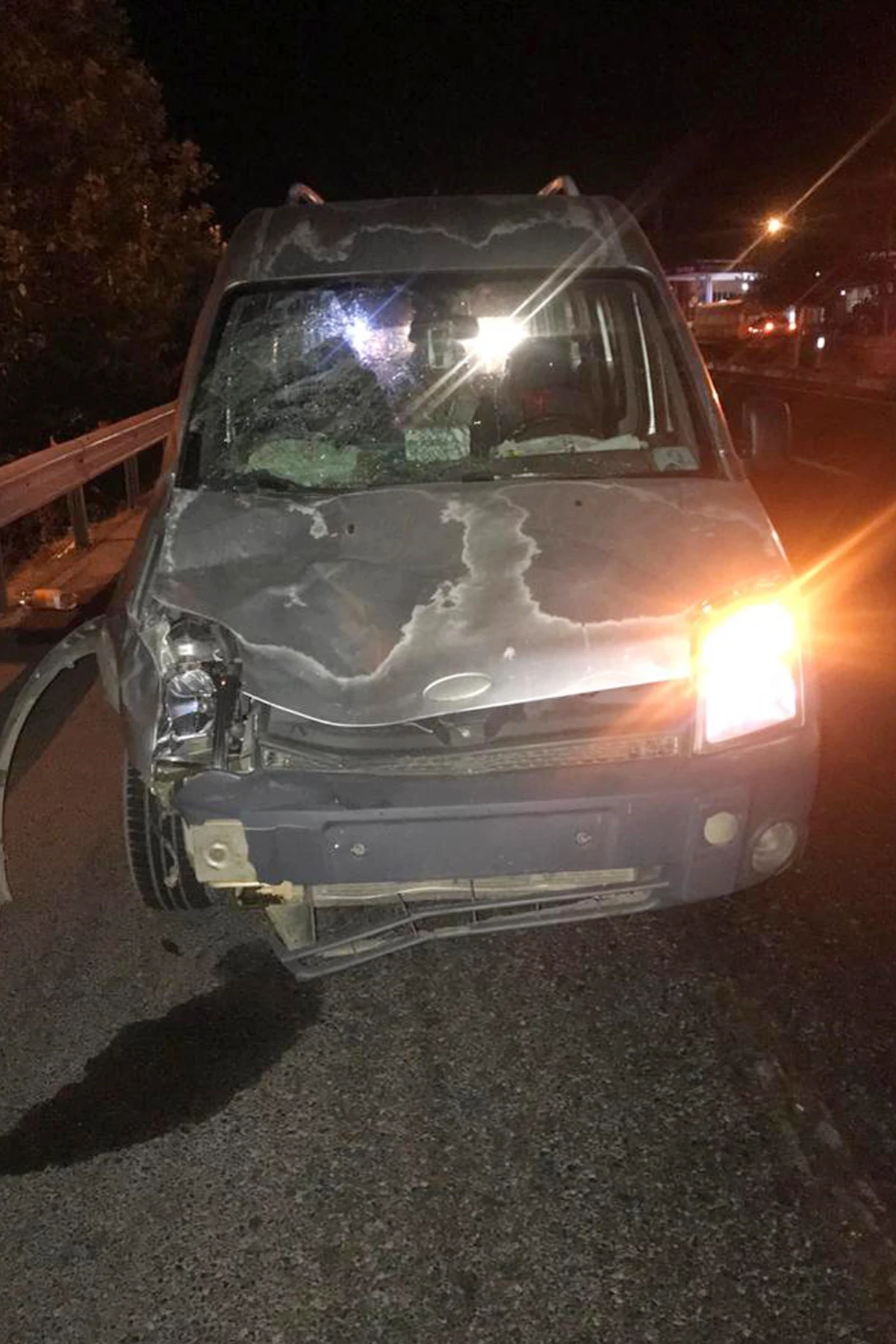 Manisa\'da hafif ticari aracın çarptığı çift hayatını kaybetti