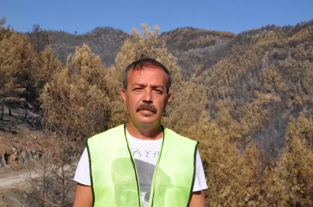 Yanan ormanlık alanlarda ekolojik tespit çalışması başlatıldı Yanan ormanlık alanlarda ekolojik tespit çalışması başlatıldı