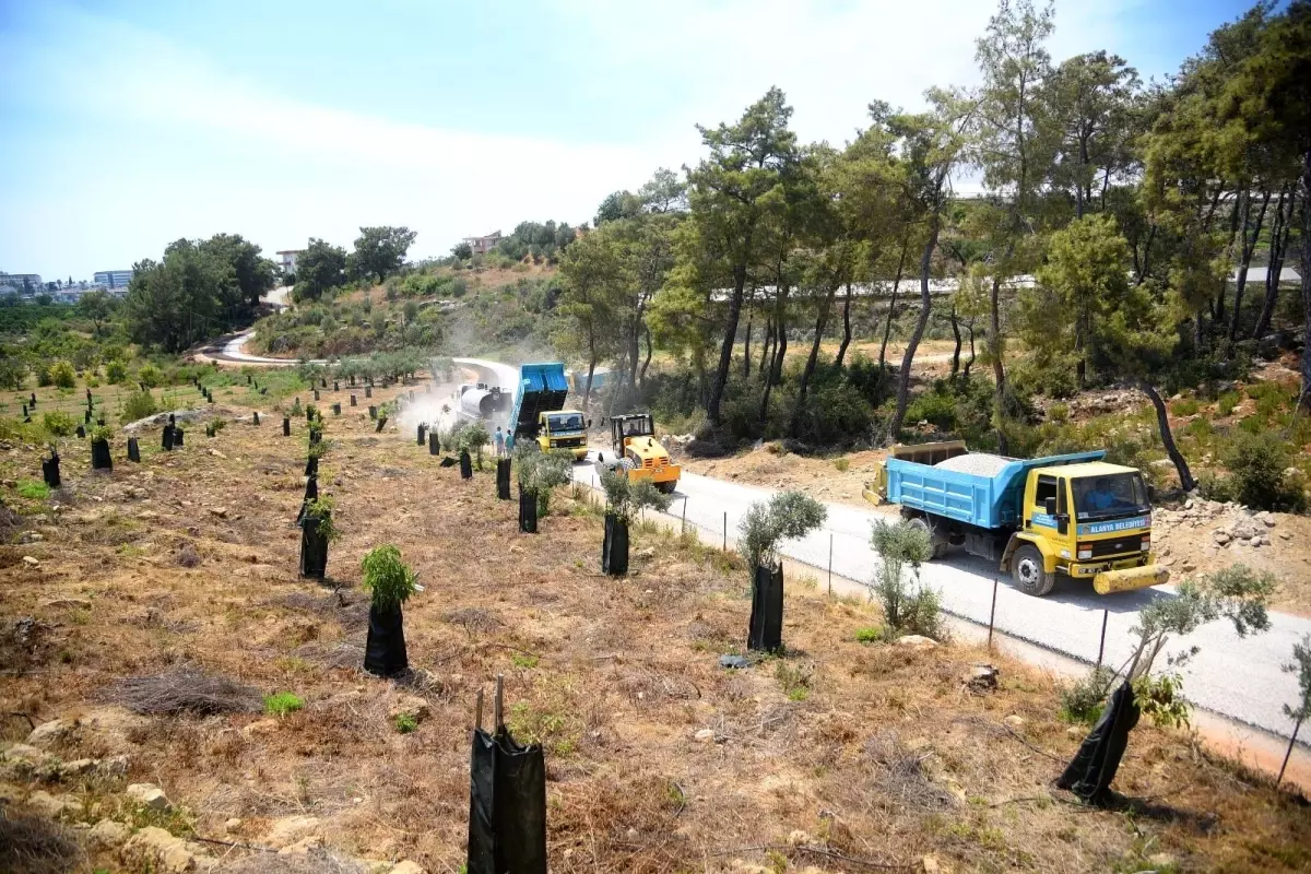 Alanya Belediyesi\'nden batı mahallerine asfalt çalışması