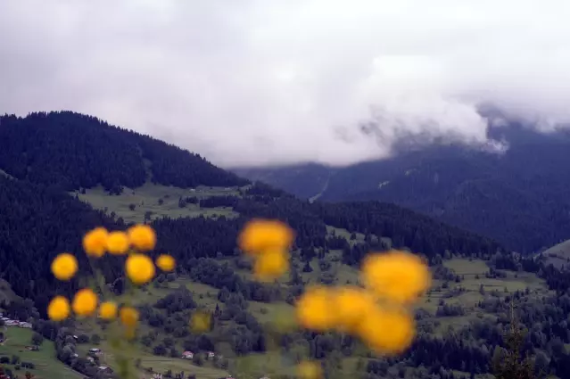 Ardahan-Artvin arasındaki tepelerde oluşan sis güzel manzaralar oluşturdu