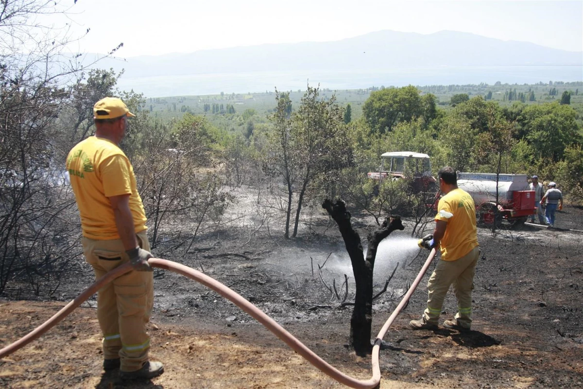 Orhangazi\'de ormanlık alana yakın bölgede çıkan yangın söndürüldü
