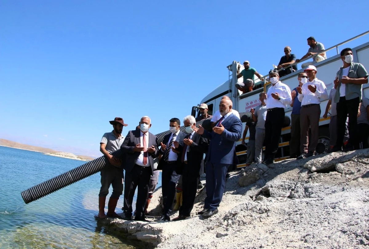 Elazığ\'dan 18 kente 12 milyon yavru sazan balığı gönderildi