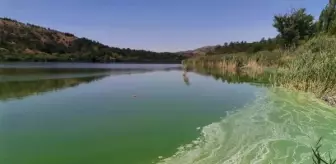 Son dakika haberi... Eymir Gölü de kirlendi