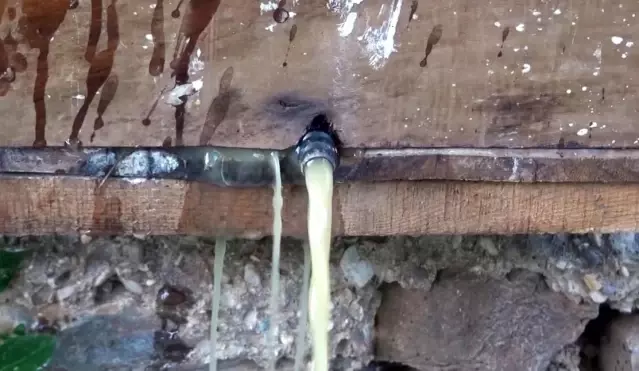 Kahramanmaraş'ta dut pekmezinin sofra yolculuğu başladı