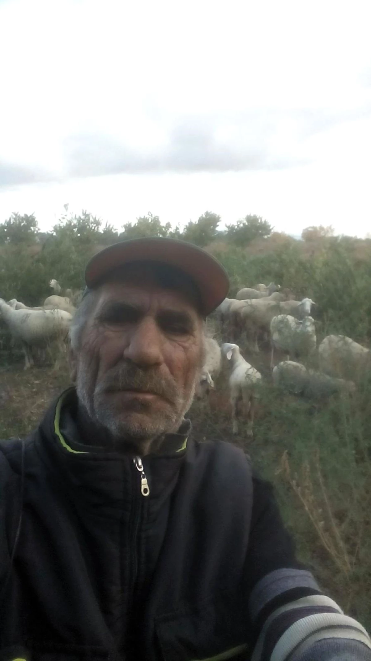 Son dakika haber: Kıbrıs gazisi, koyunlarını ekili arazilerden kovalarken kalp krizinden öldü