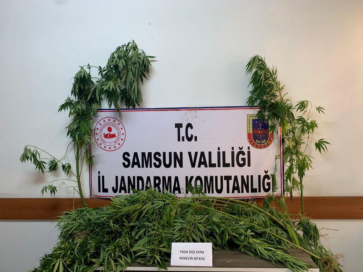 Son dakika haber... Samsun\'da uyuşturucu operasyonunda 3 kişi yakalandı