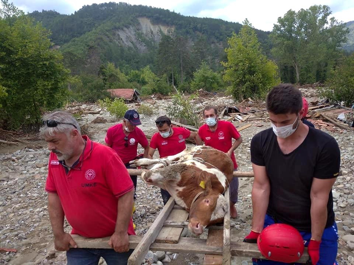 Son dakika haberi: Selde yaralanan buzağı Erzincan ve Bayburt UMKE ekipleri tarafından kurtarıldı