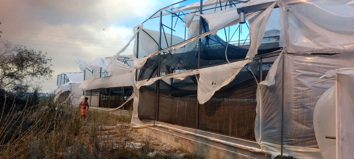 TARSİM, yangın ve sel hasarlarındaki son durumu değerlendirdi Açıklaması