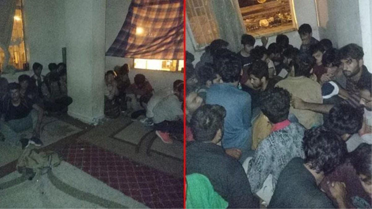 Van\'da iki apartmana baskın! Balık istifi haldeki 115 Afgan uyruklu göçmen yakalandı