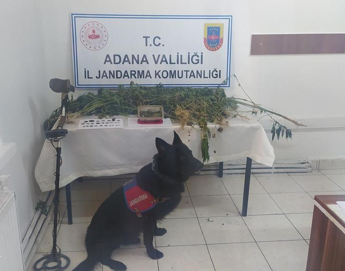 Adana\'da uyuşturucu operasyonunda 3 şüpheli yakalandı