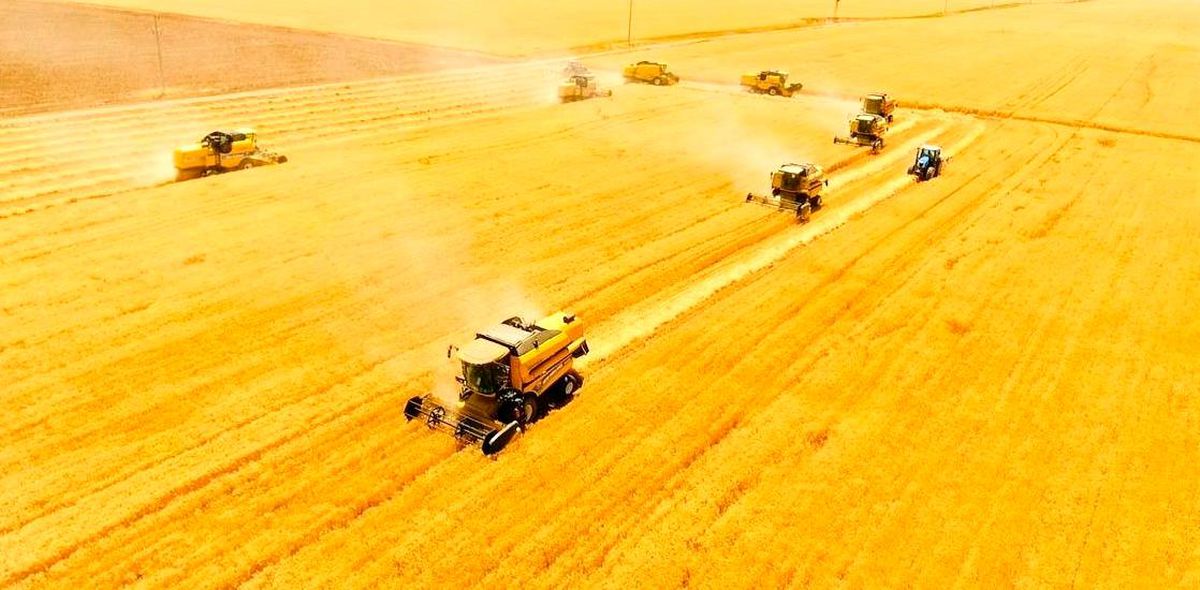 Bayburt\'ta biçerdöverler denetlendi