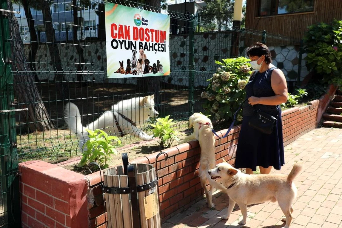 Evcil hayvanlar için "Can Dostum" oyun bahçesi