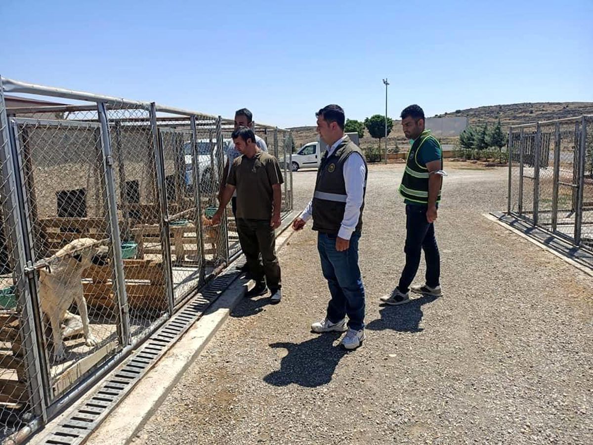 Geçici Hayvan Bakım evinde denetim