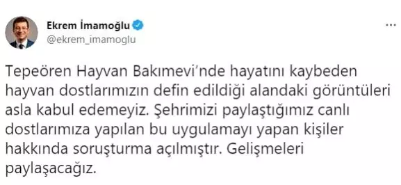 İmamoğlu'ndan İBB'nin bakımevinin yanında bulunan hayvan cesetleriyle ilgili açıklama: Soruşturma açıldı