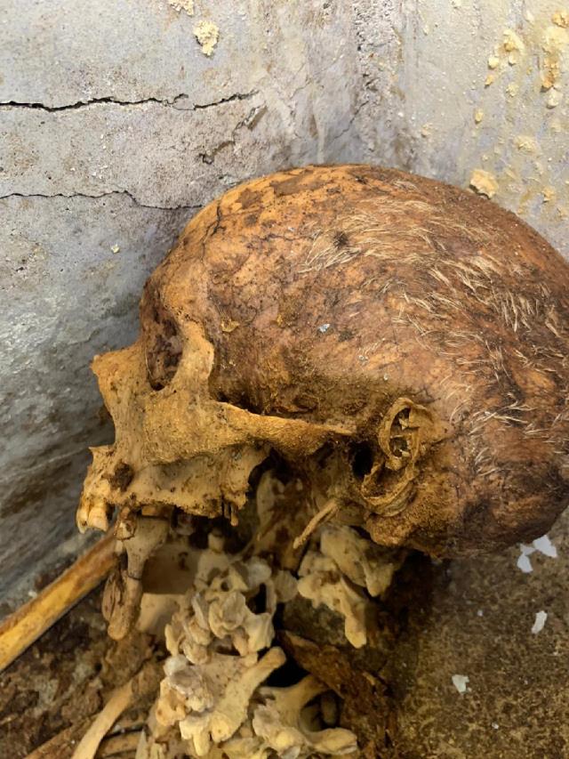 Kazı yapan arkeologlar büyük sevinç yaşadı! Pompeii'de saçları ve kulağı duran insan kalıntısı bulundu