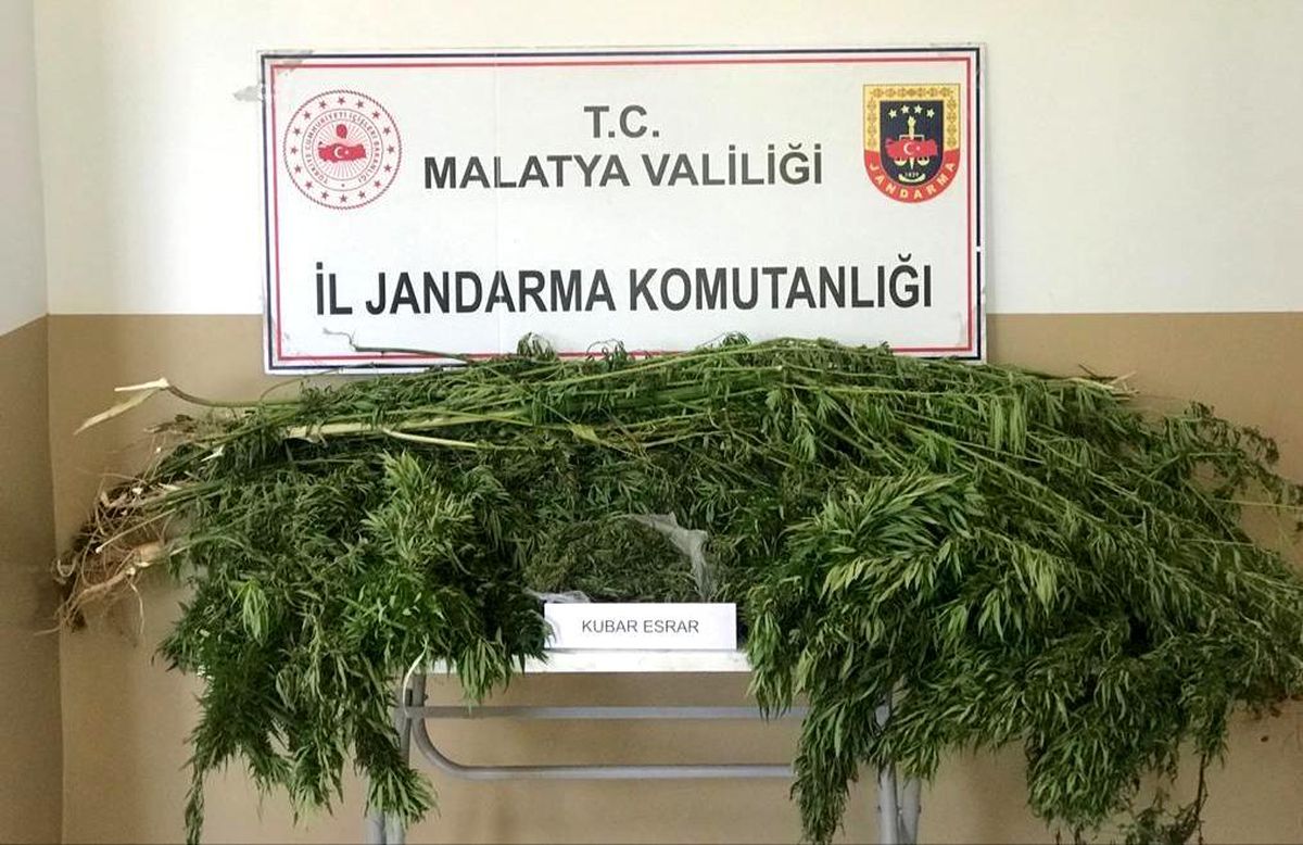 Malatya\'da 1 kilo esrar ele geçirildi