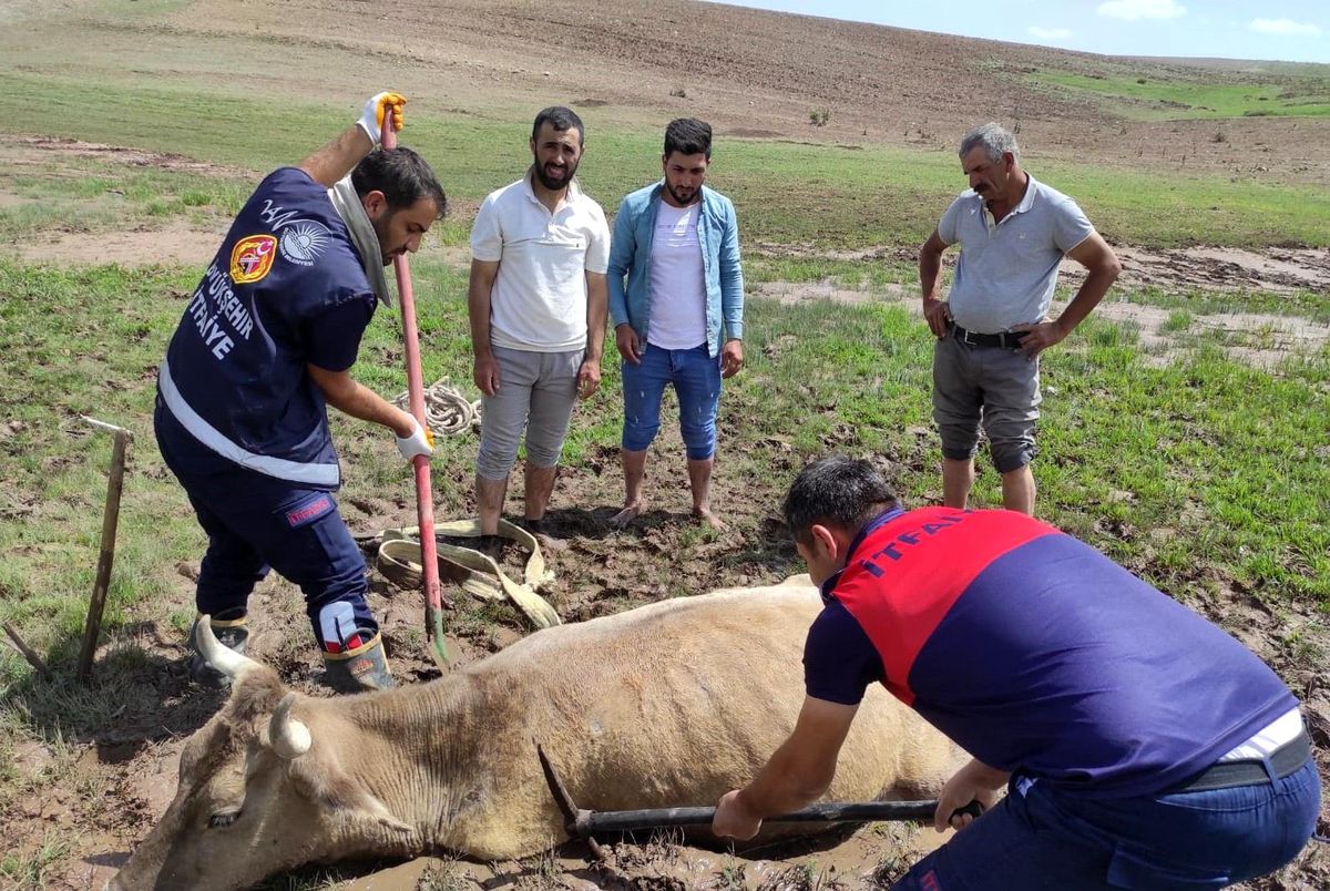 Özalp\'ta çamura saplanan büyükbaş hayvan kurtarıldı