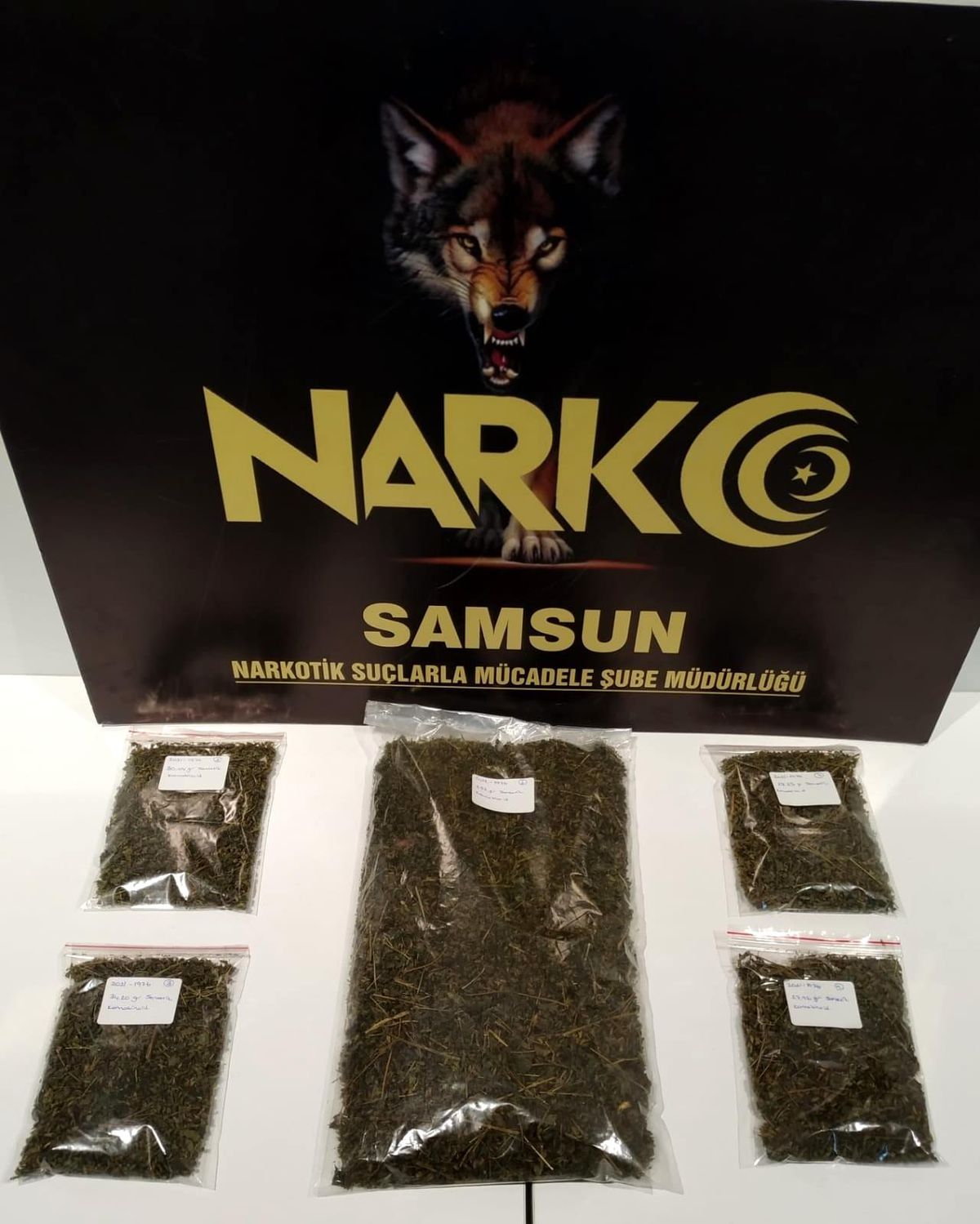 Son dakika haber... Samsun\'da metruk binada 5 paket bonzai ele geçirildi: 1 gözaltı